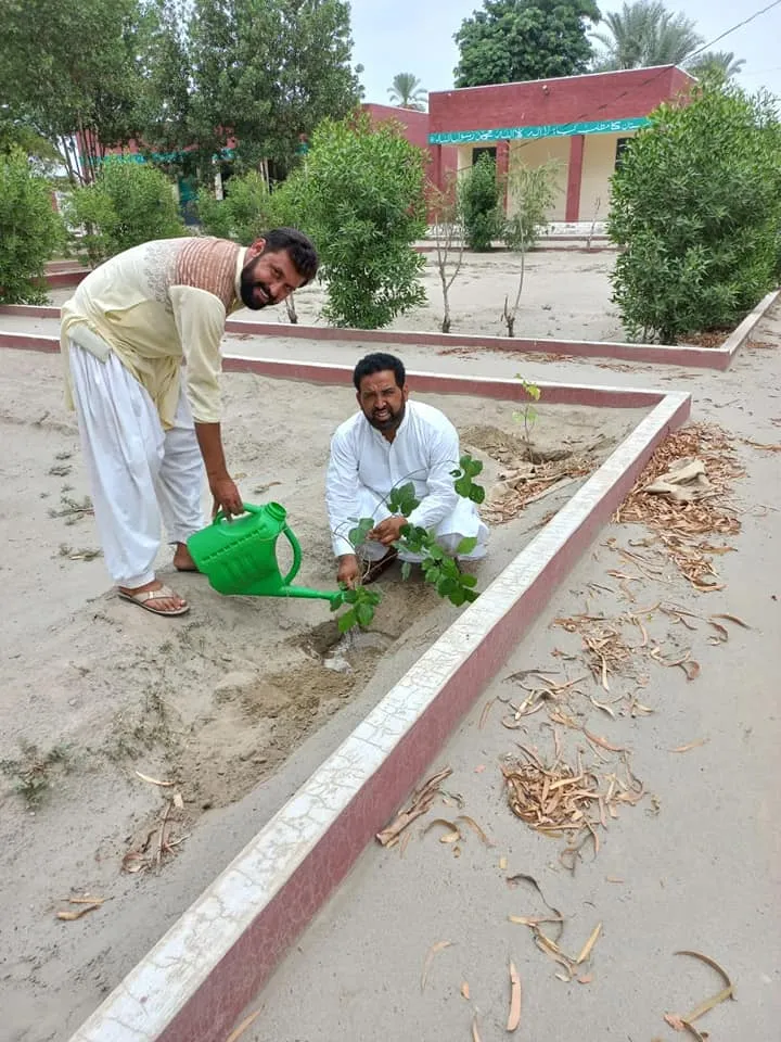 Green Seekers Activity